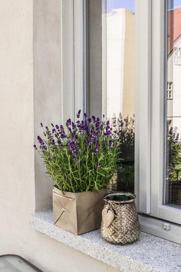 Ferienwohnung Weinquartier Naumburg Naumburg  Exterior foto